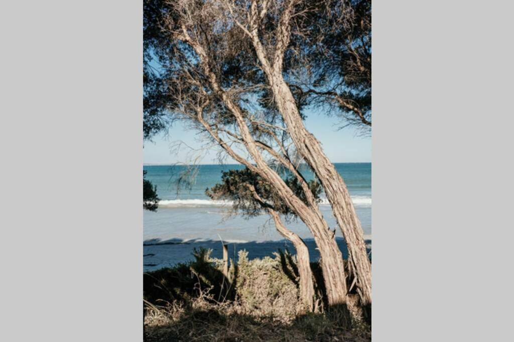 Dunes - Elegant Beach Villa With Huge Heated Swim Spa Port Fairy Exterior foto